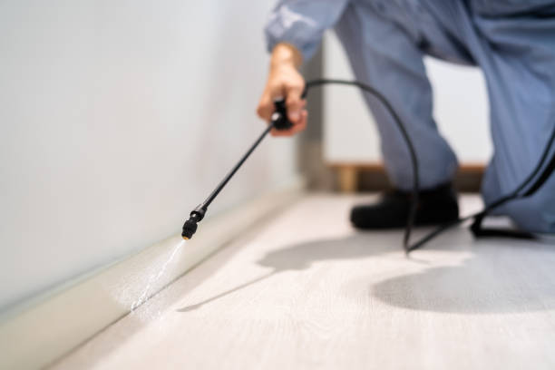 Bed Bug Pre-Treatment Preparation Assessment in Lewisville