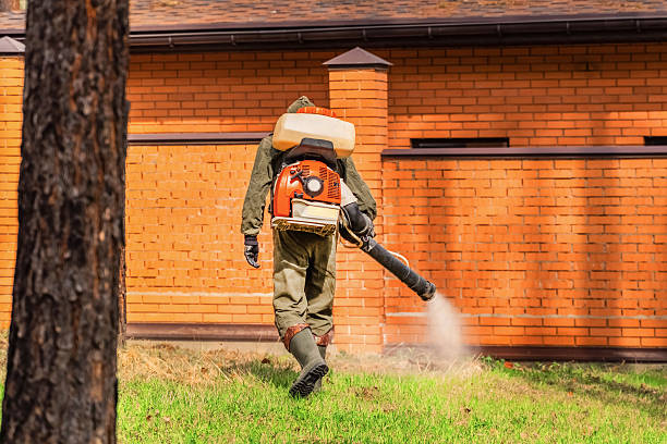 Bed Bug Clearance Verification and Documentation in Lewisville